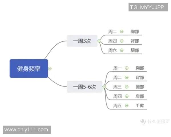 全面提升体能与健康的健身计划,从入门到进阶的科学训练指南 全面提升体能与健康的健身计划,从入门到进阶的科学训练指南