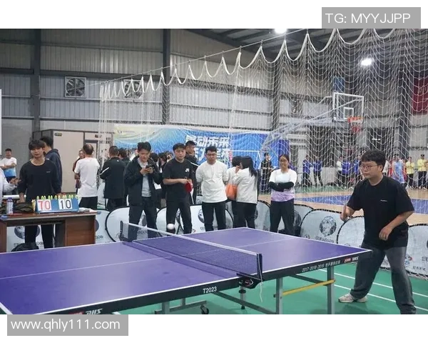 探寻篮球运动员成长历程与赛场精神力量及未来全面发展之路新篇章