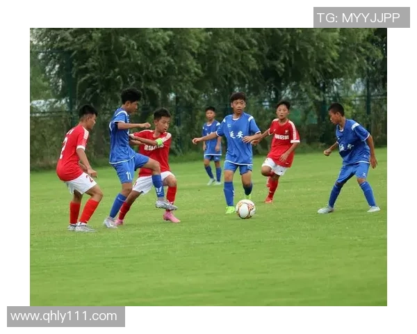 绿茵争锋世界足球豪门崛起与未来战术变革之路 绿茵争锋世界足球豪门崛起与未来战术变革之路